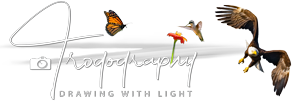 Trogography Logo