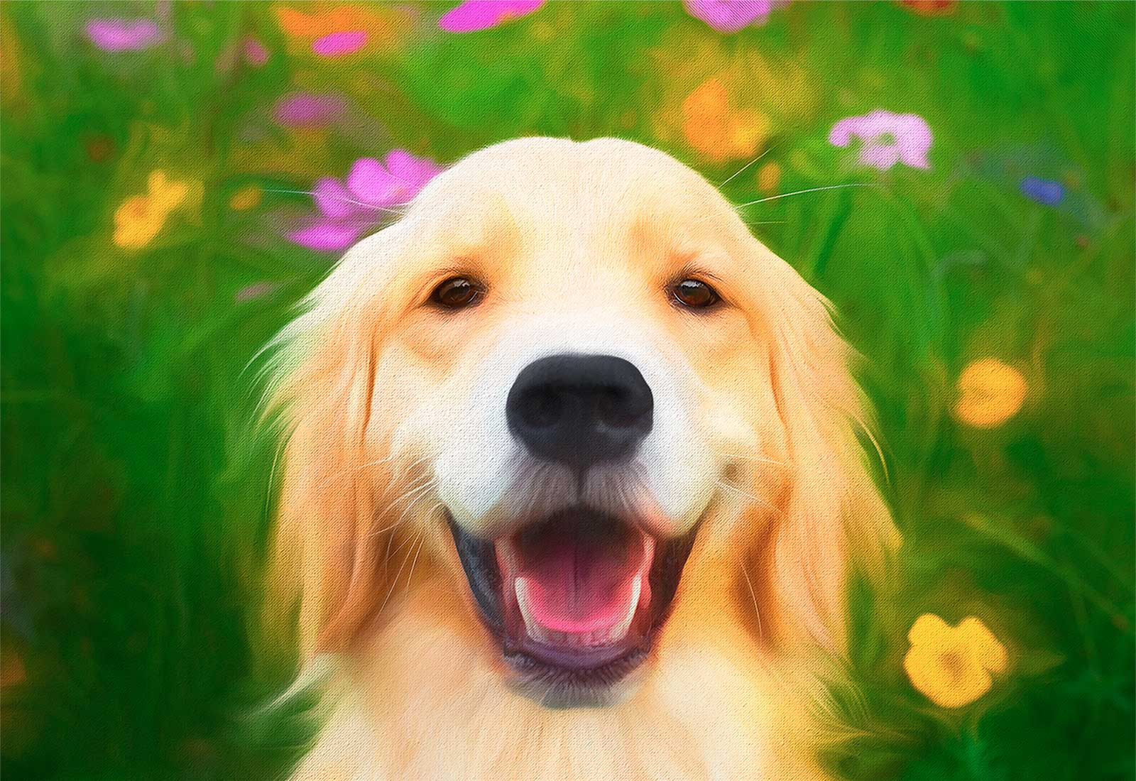 Golden Retriever smiling