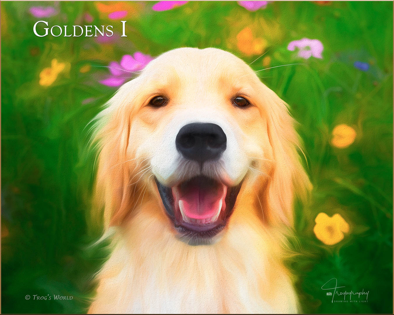 Golden Retriever smiling in the flowers