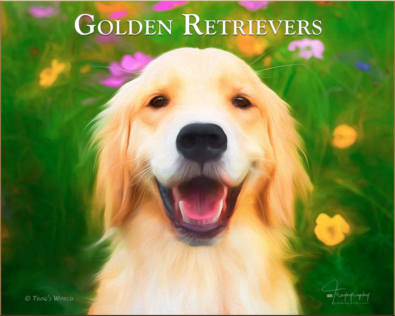 Golden Retriever smiling