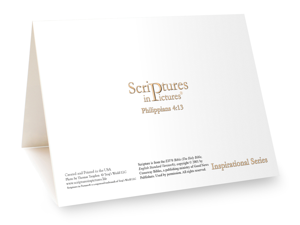 Scriptures in Pictures Verses II Greeting Cards