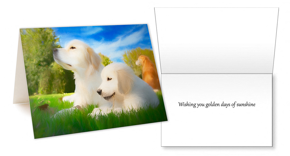 Golden Joy I Greeting Card - Golden Days of Sunshine