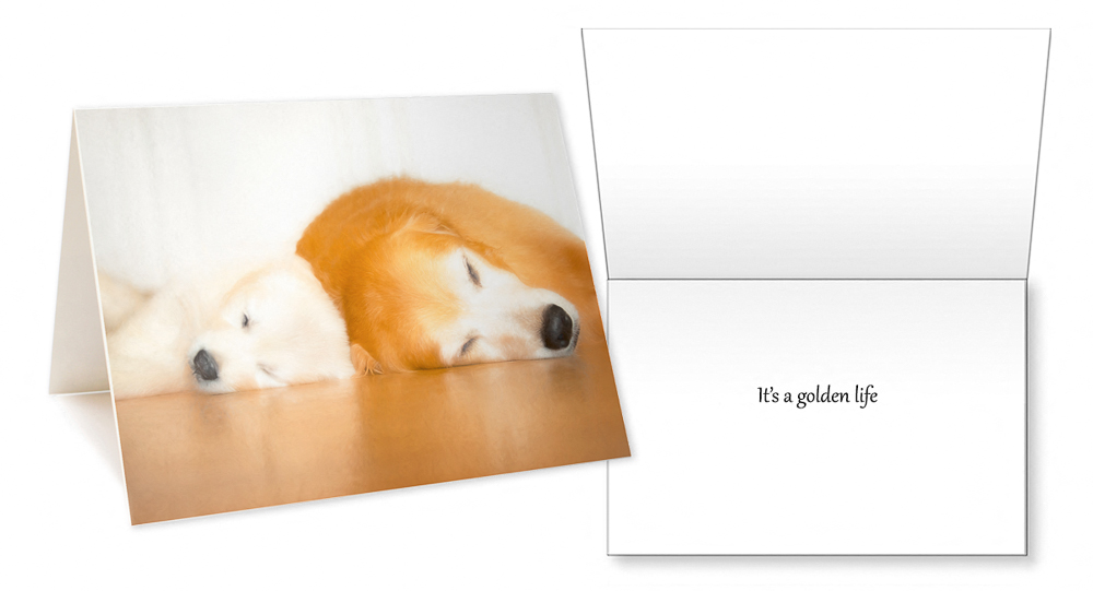 Trog's Dogs Golden Joy 2 Greeting Card