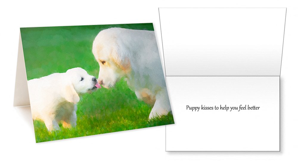 Trog's Dogs Golden Moments Greeting Card