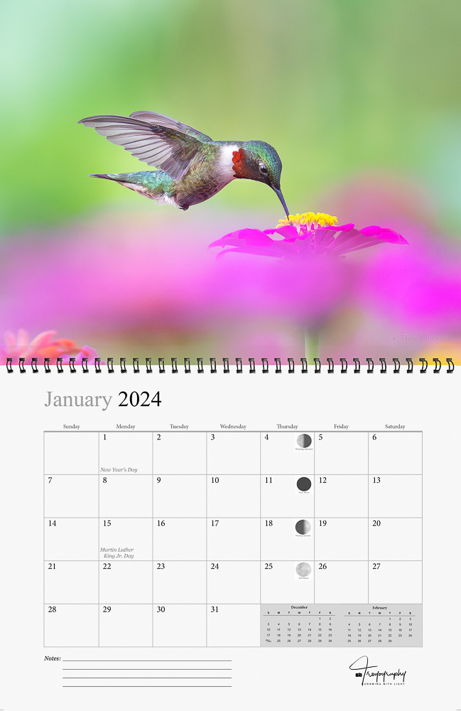 Image in Trogography 2024 Hummingbirds Calendar