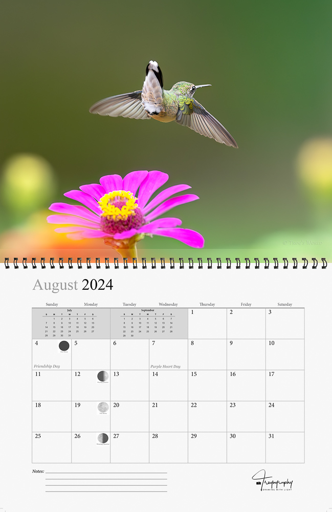 Image in Trogography 2024 Hummingbirds Calendar