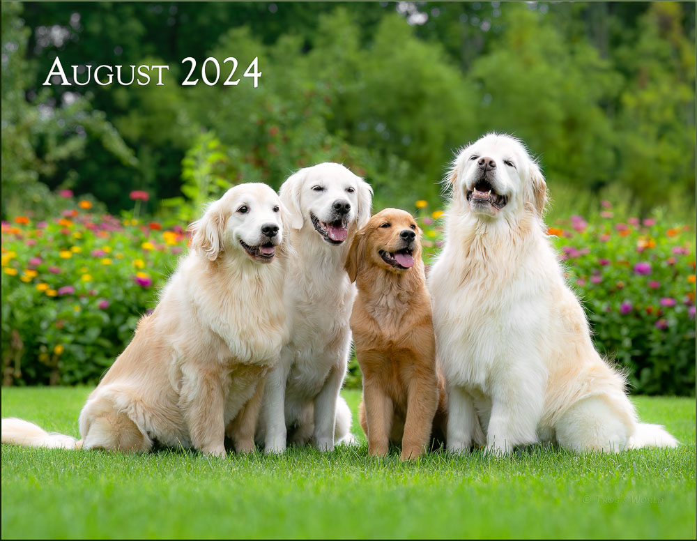 Image in 2024 Trog's Dogs Calendar