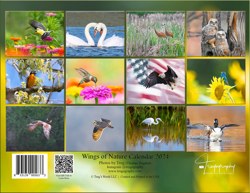 Image in Trogography 2024 Wings of Nature Calendar
