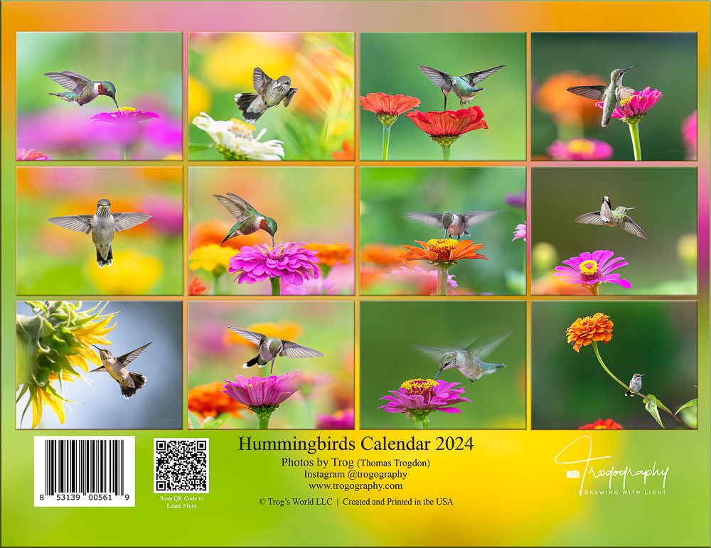 Back Cover of Trogography Hummingbirds 2024 Calendar