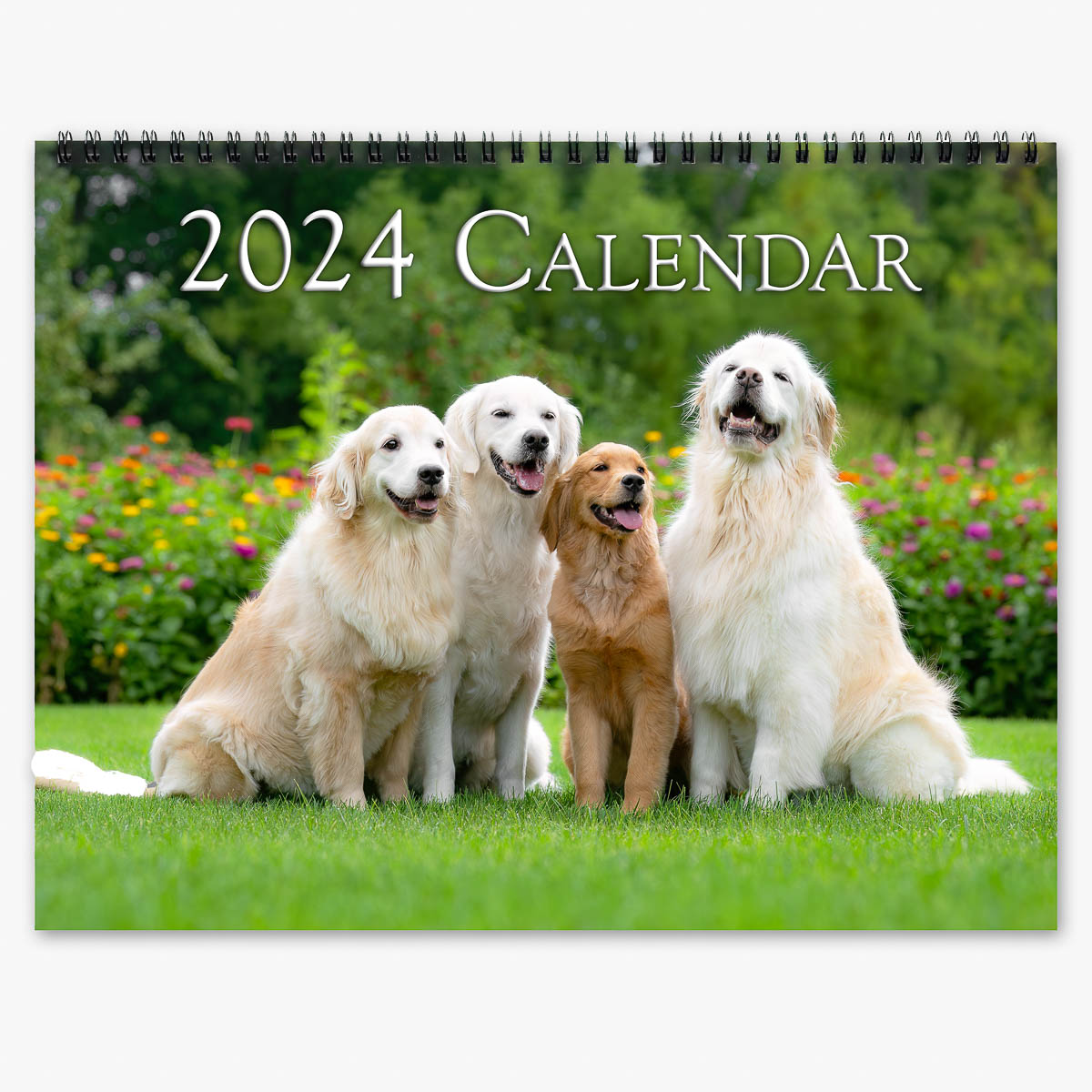 Golden Retrievers 2024 Wall Calendar Trogography