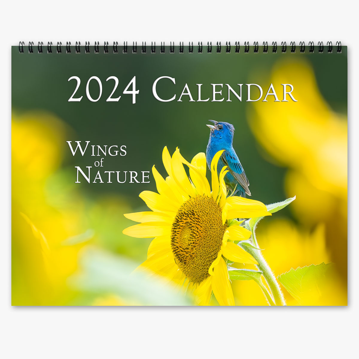 Image in Trogography 2024 Wings of Nature Calendar
