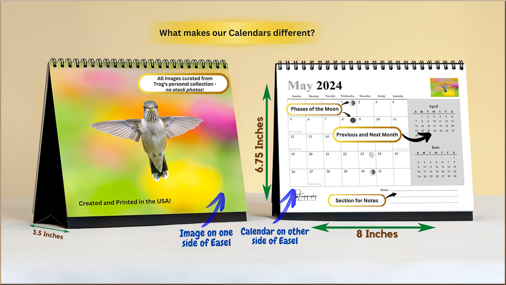 Image in Trogography Hummingbirds 2024 Calendar