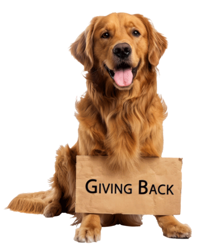 giving-back-cutout-cutout on Test Trogography website