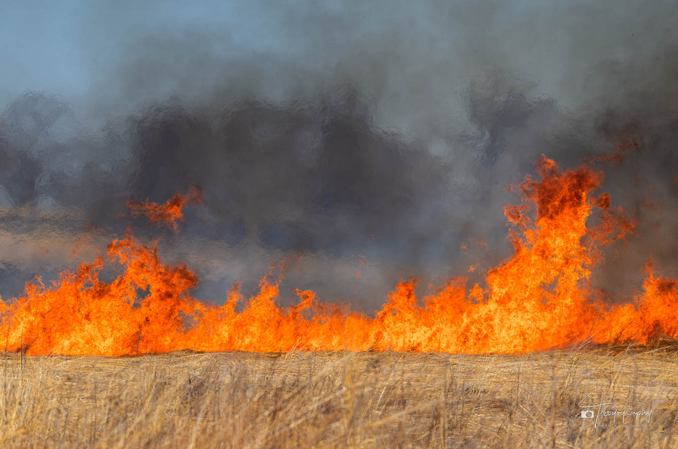 Controlled burn on Illinois prairie