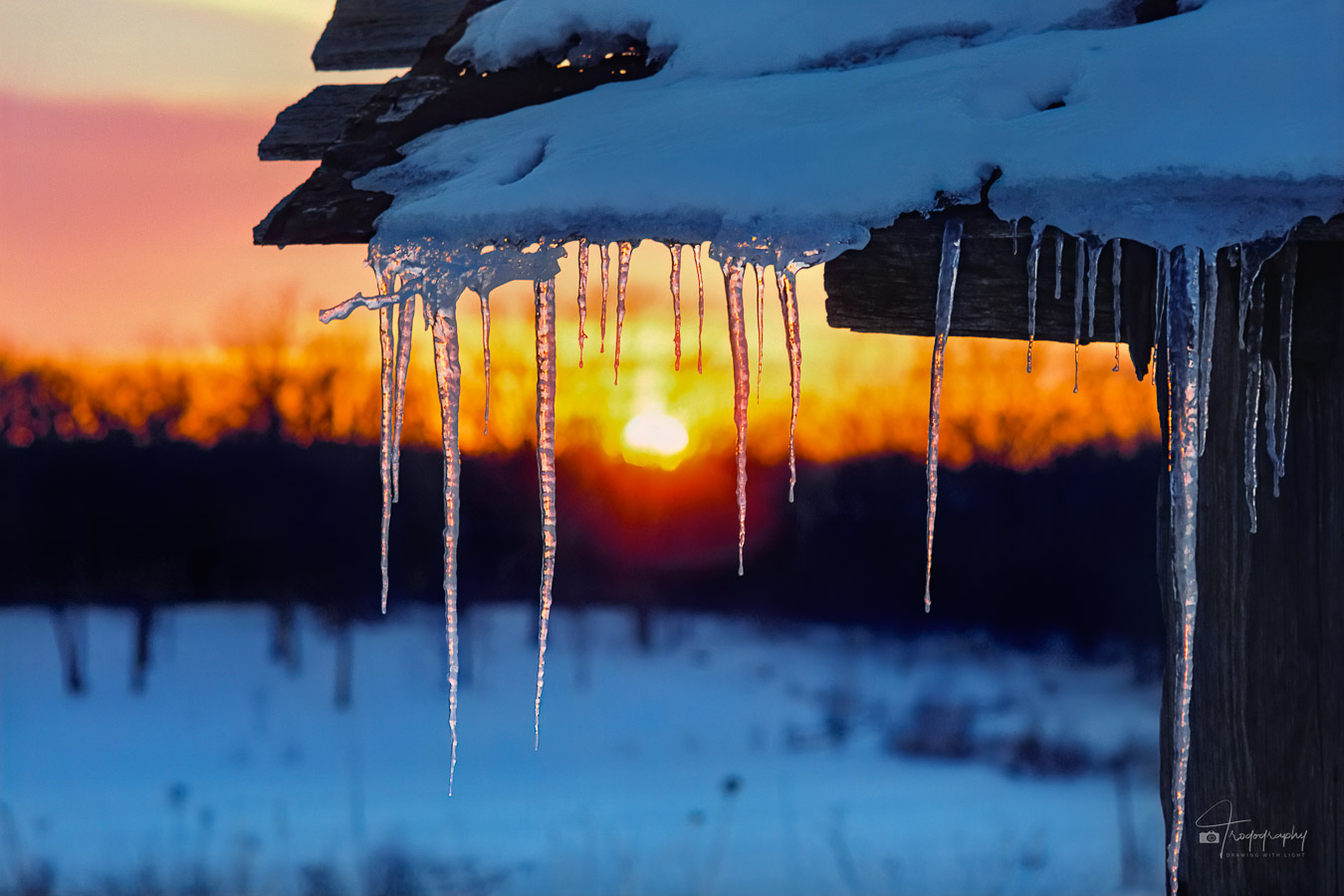 Sunset behind frozen icicles