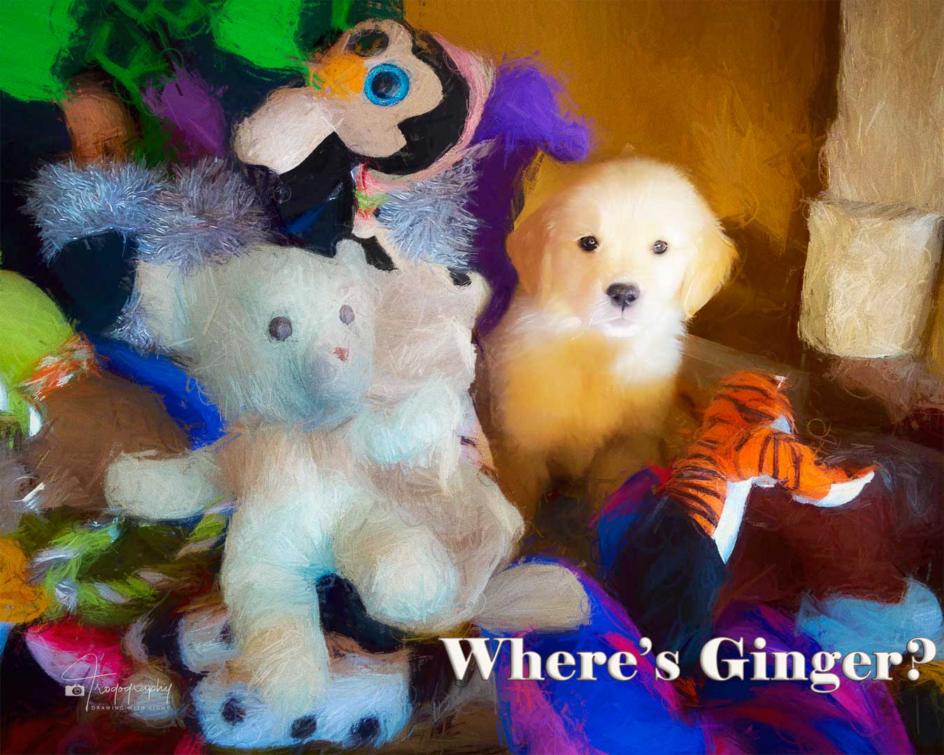A Trog's Dogs Blog Post