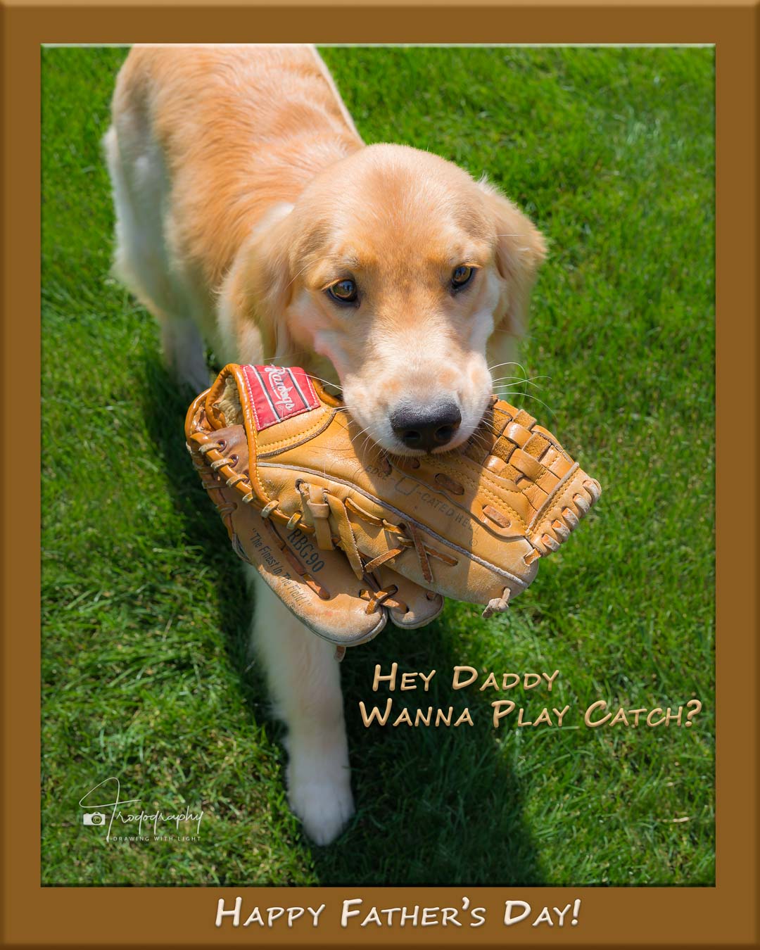 A Trog's Dogs Blog Post