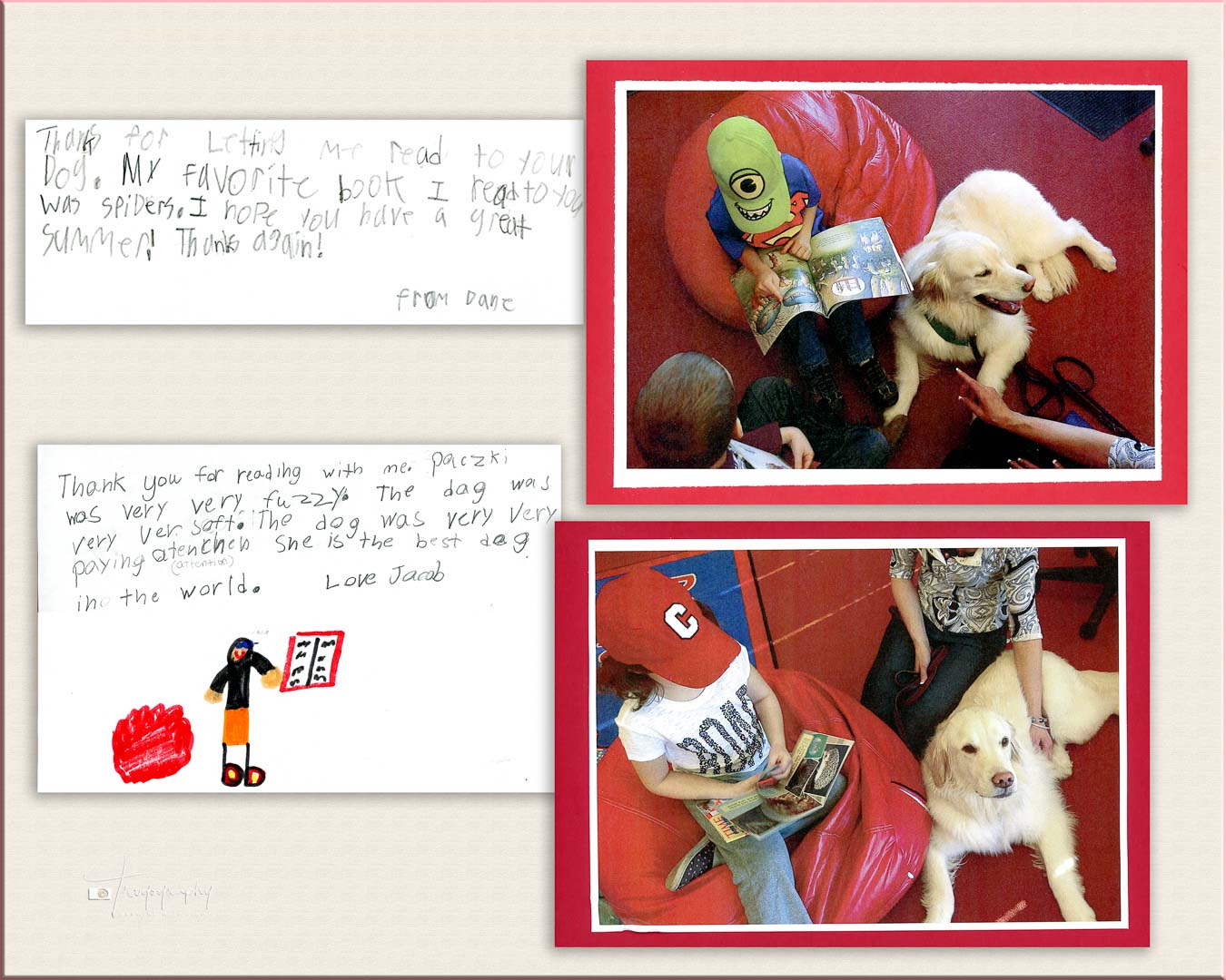 A Trog's Dogs Blog Post