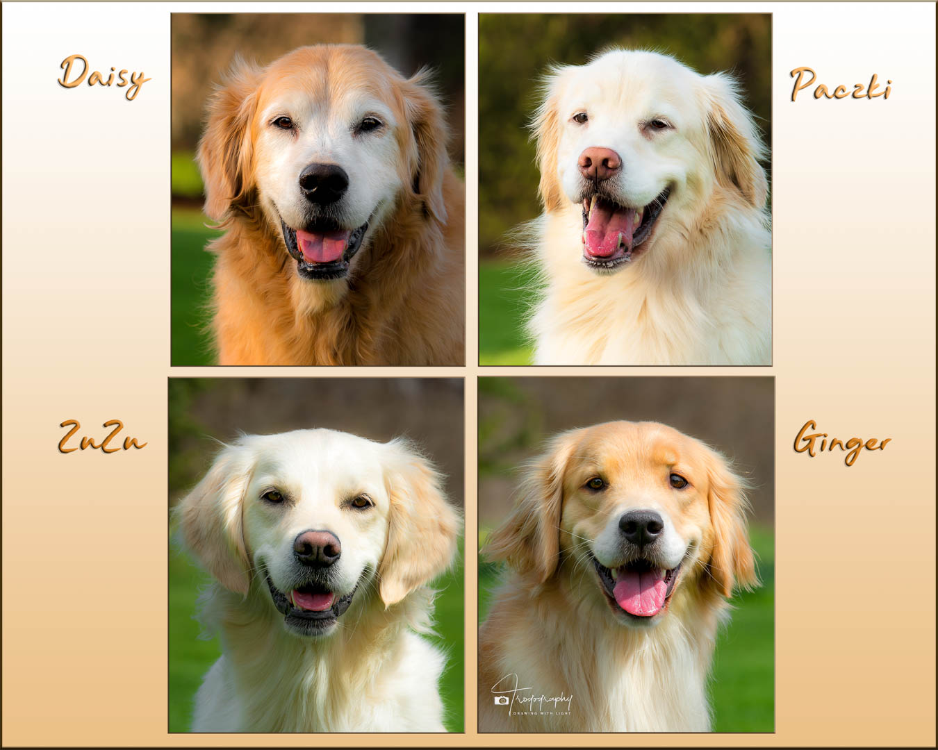 A Trog's Dogs Blog Post