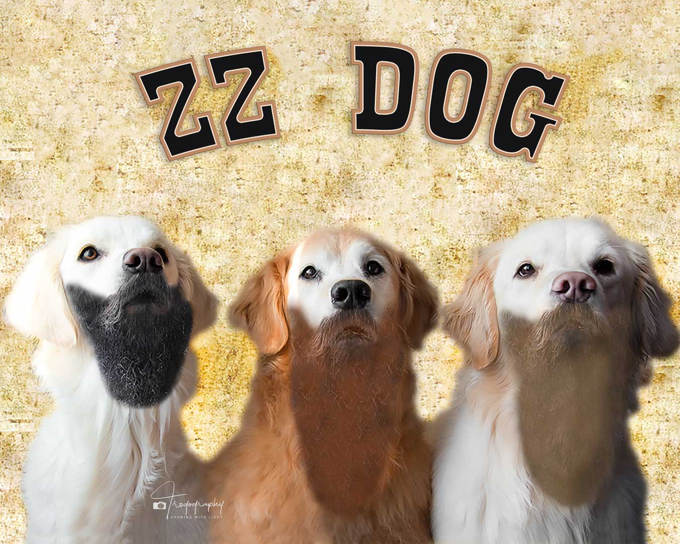 A Trog's Dogs Blog Post