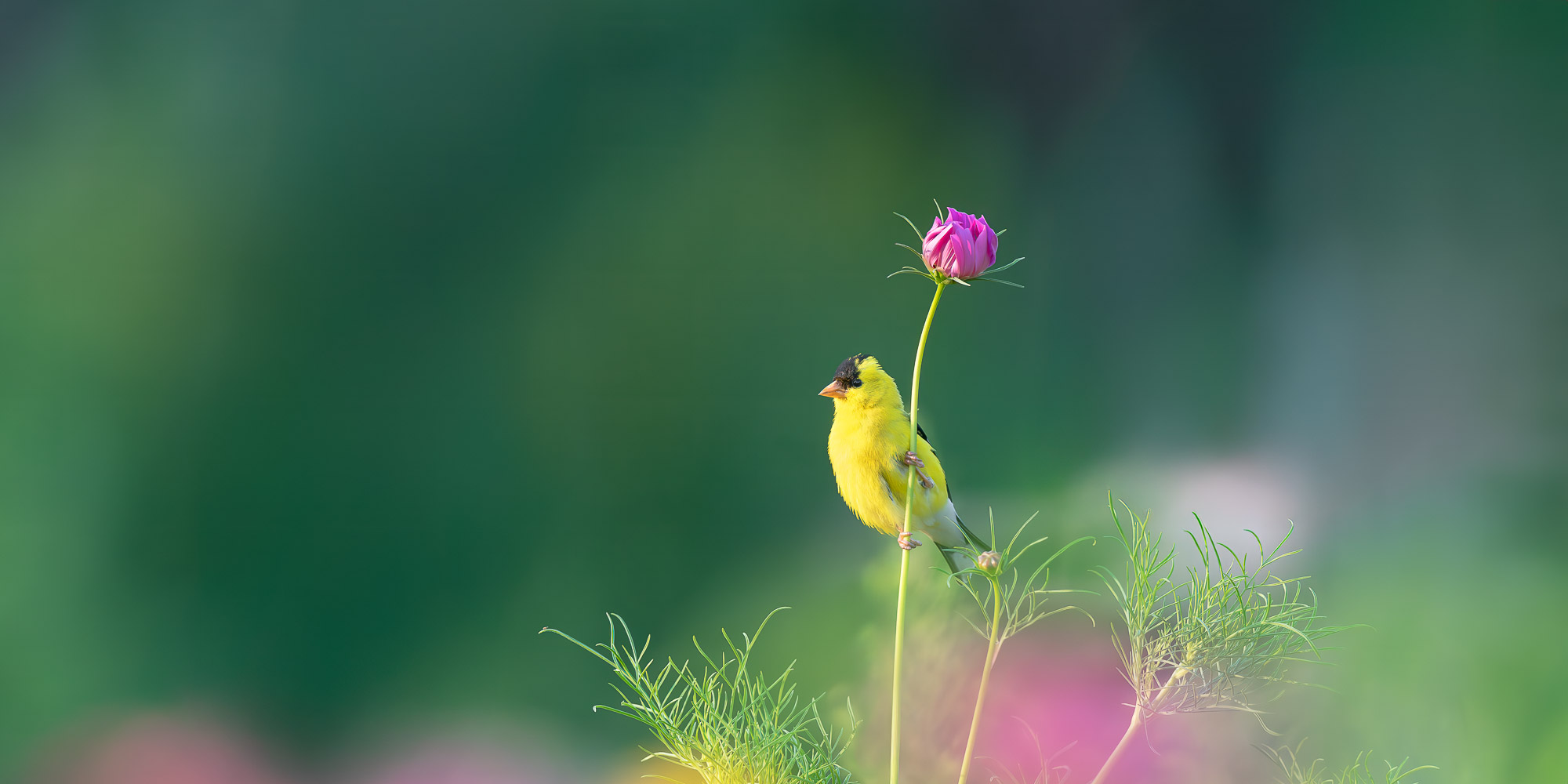 Image for Trogography Slider