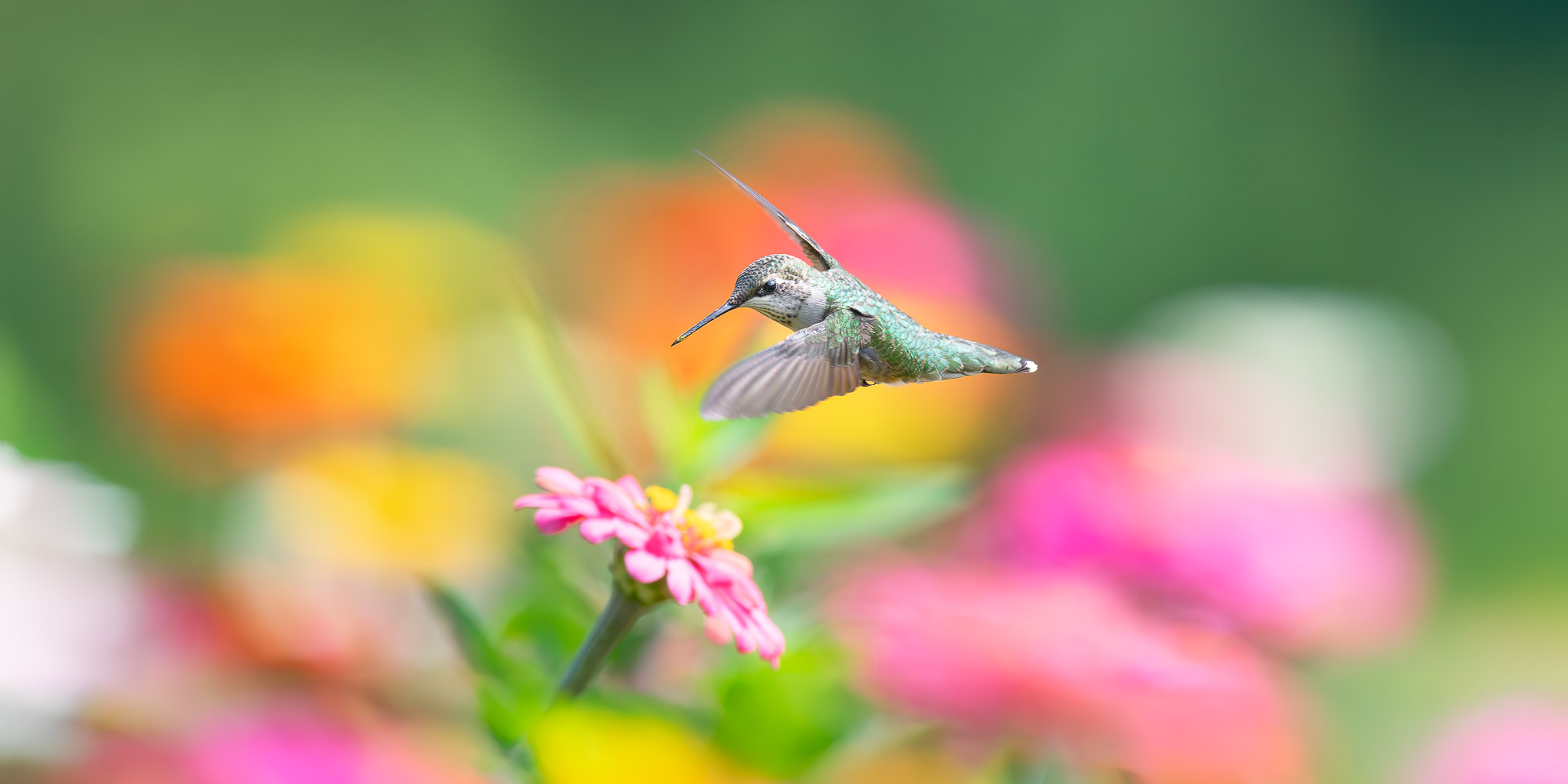 Image for Trogography Slider