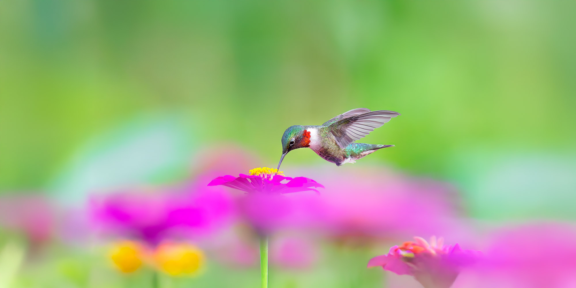 Image for Trogography Slider