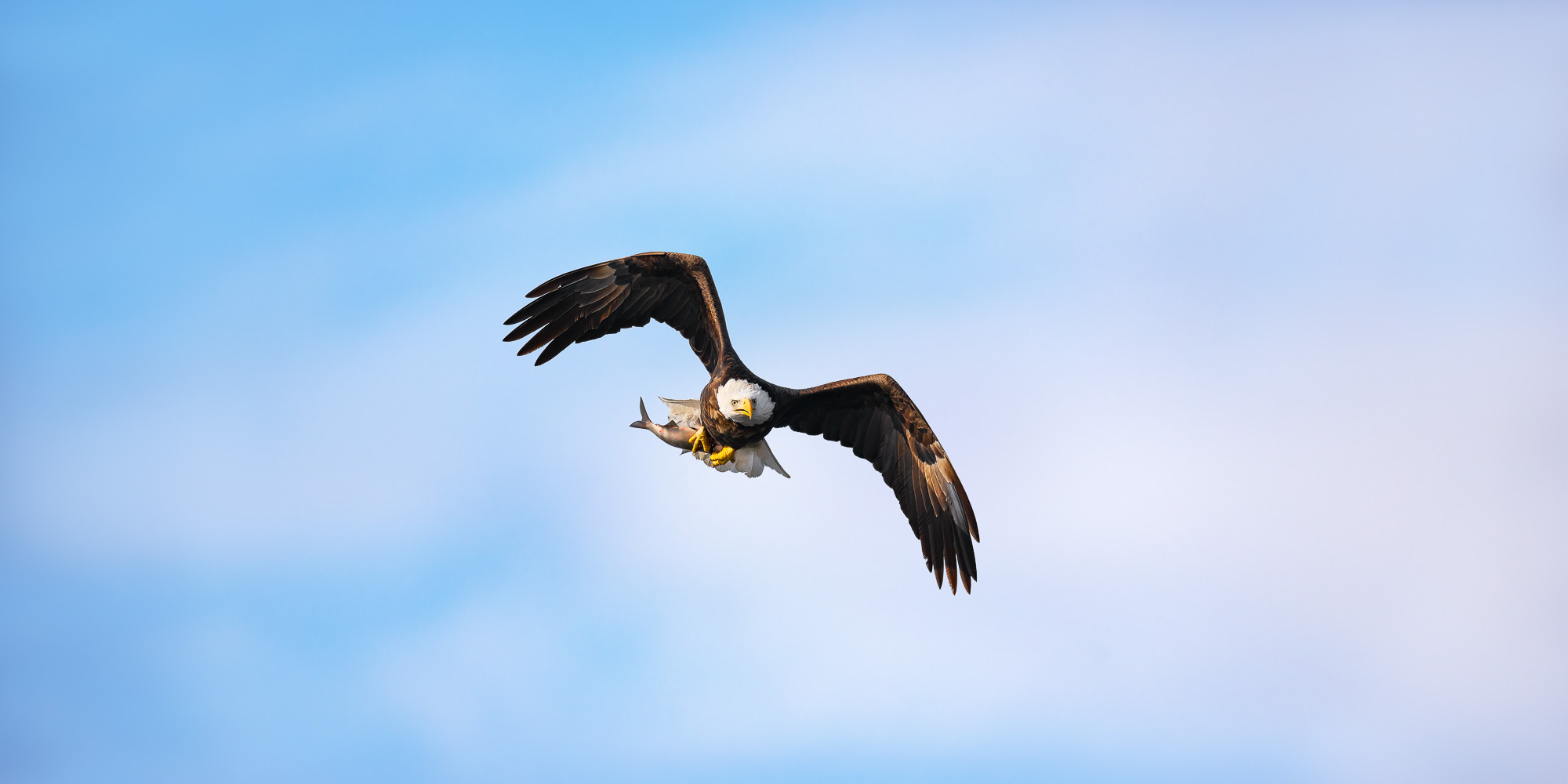 Image for Trogography Slider