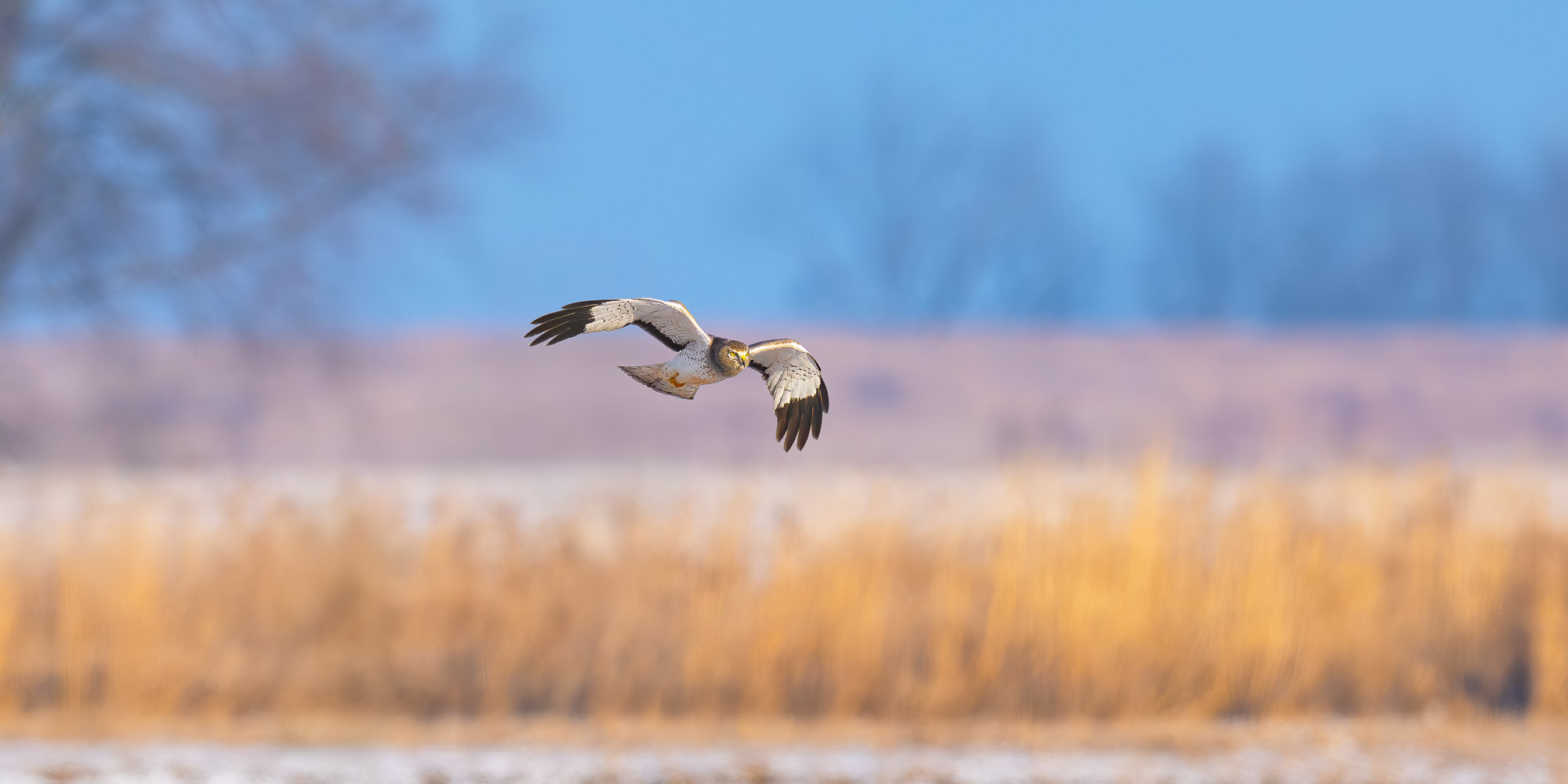 Image for Trogography Slider