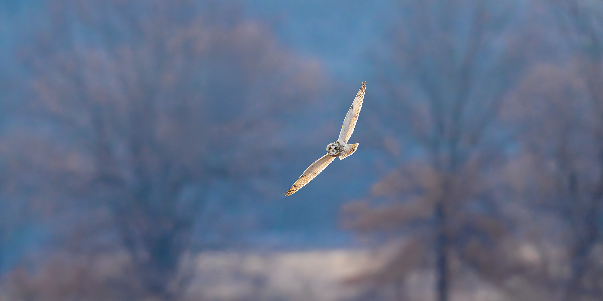 Image for Trogography Slider