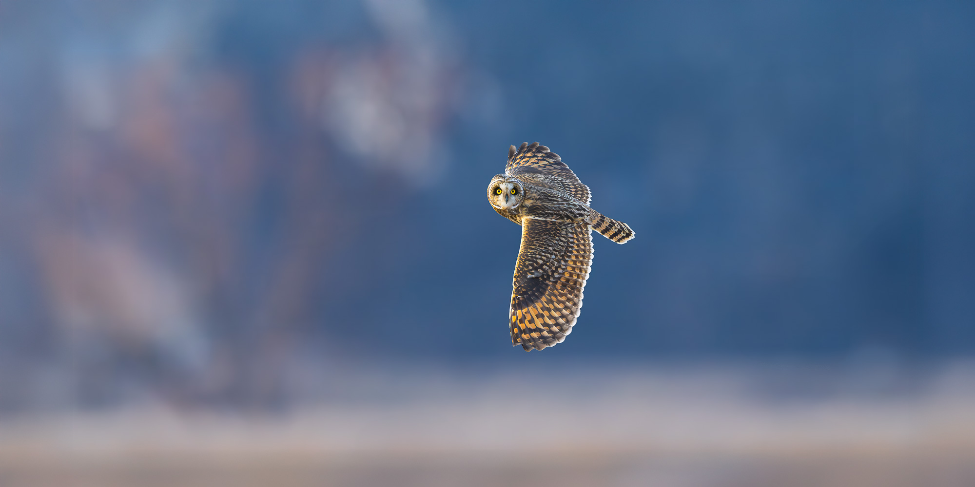Image for Trogography Slider