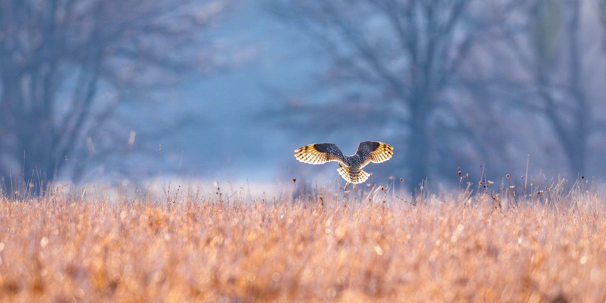 Image for Trogography Slider