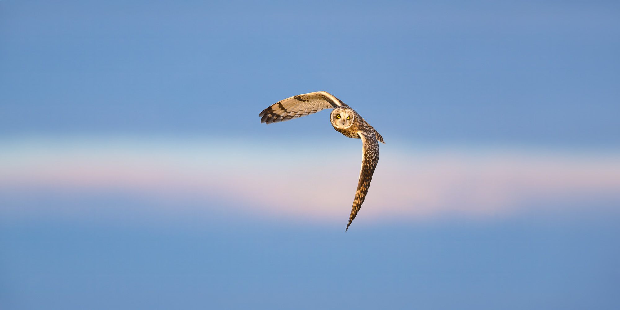 Image for Trogography Slider