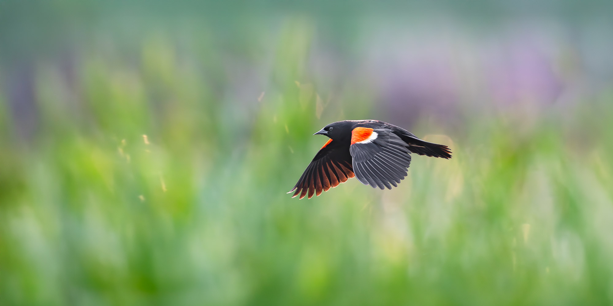 Image for Trogography Slider