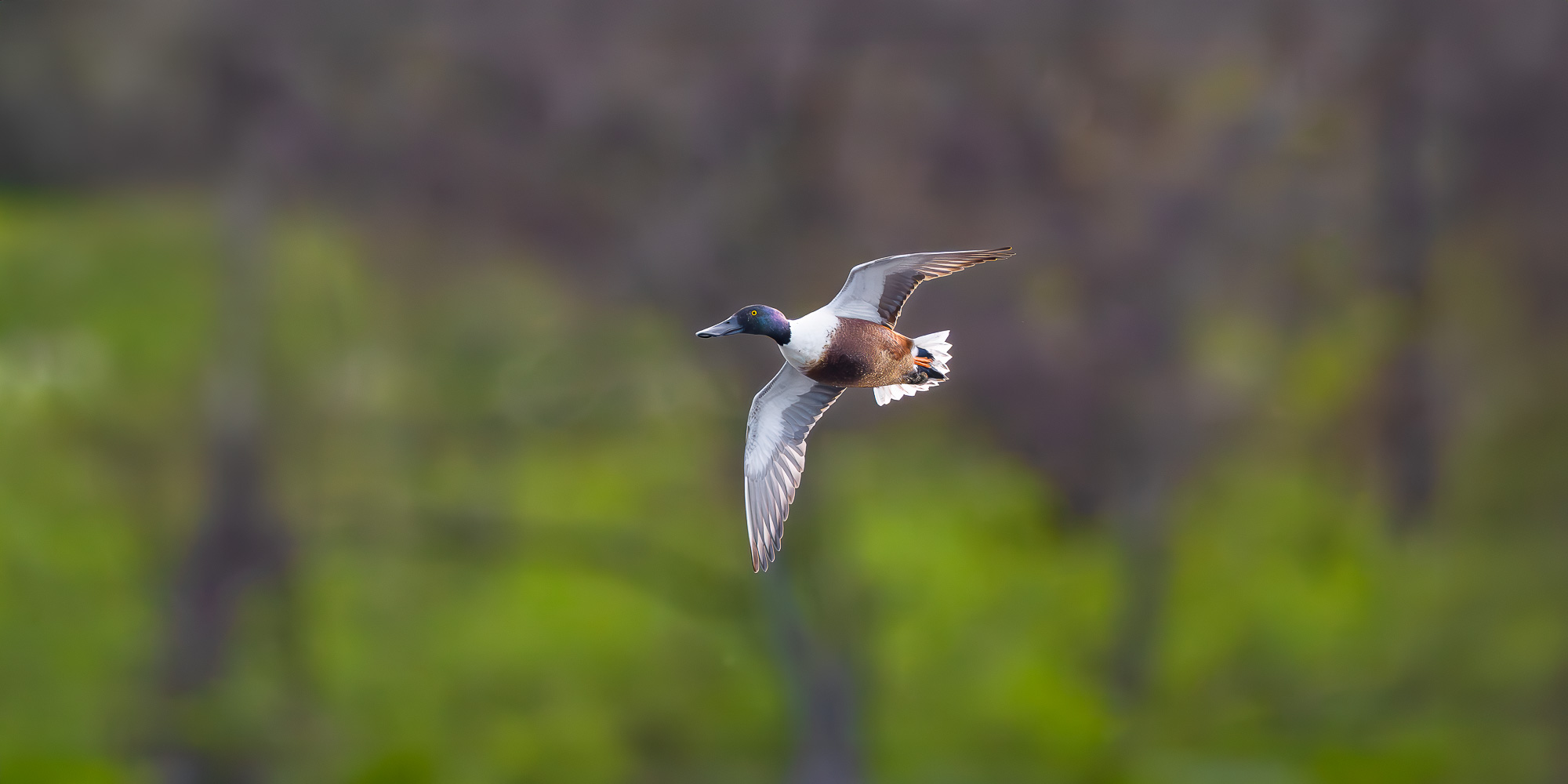 Image for Trogography Slider