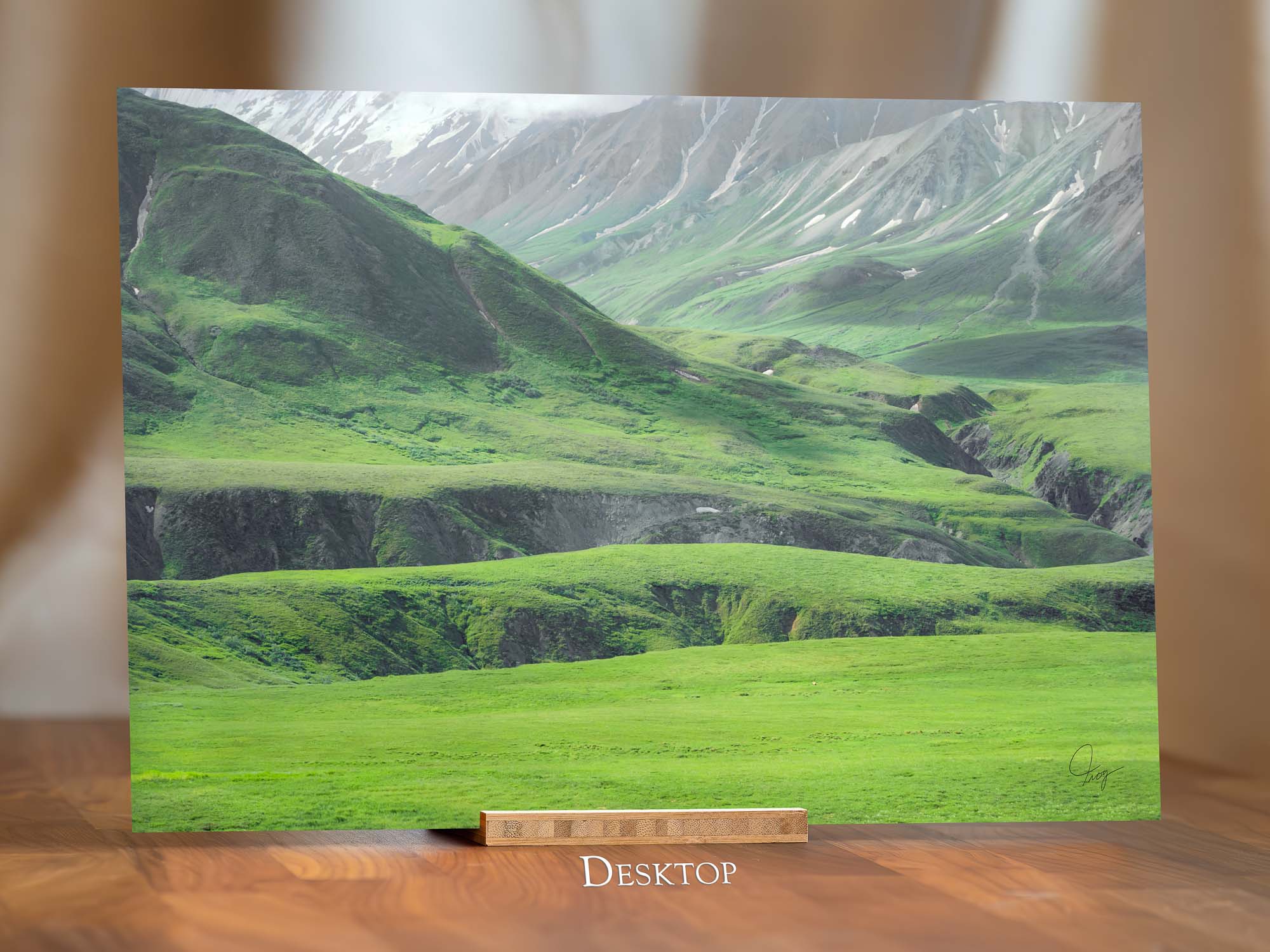 Denali's Beautiful Green Landscape with a grizzly bear