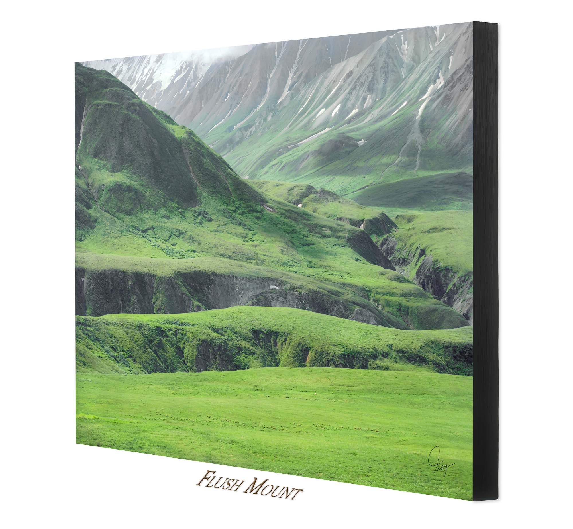 Denali's Beautiful Green Landscape with a grizzly bear