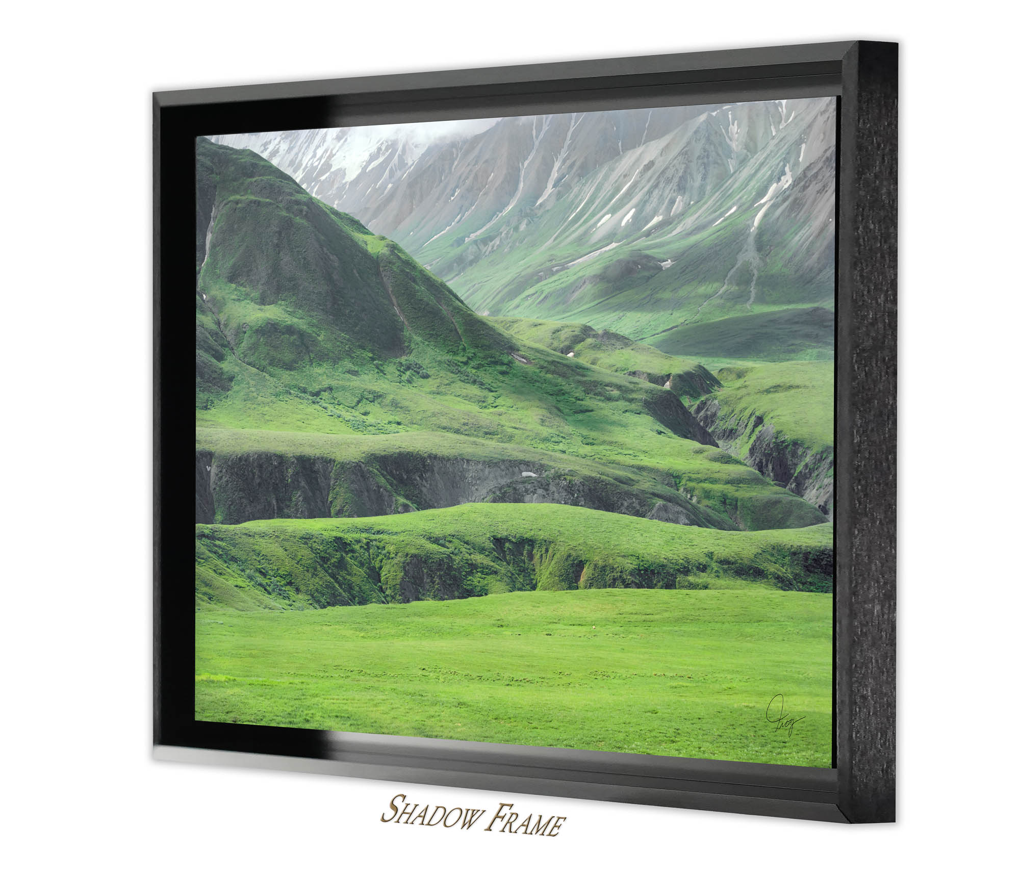 Denali's Beautiful Green Landscape with a grizzly bear