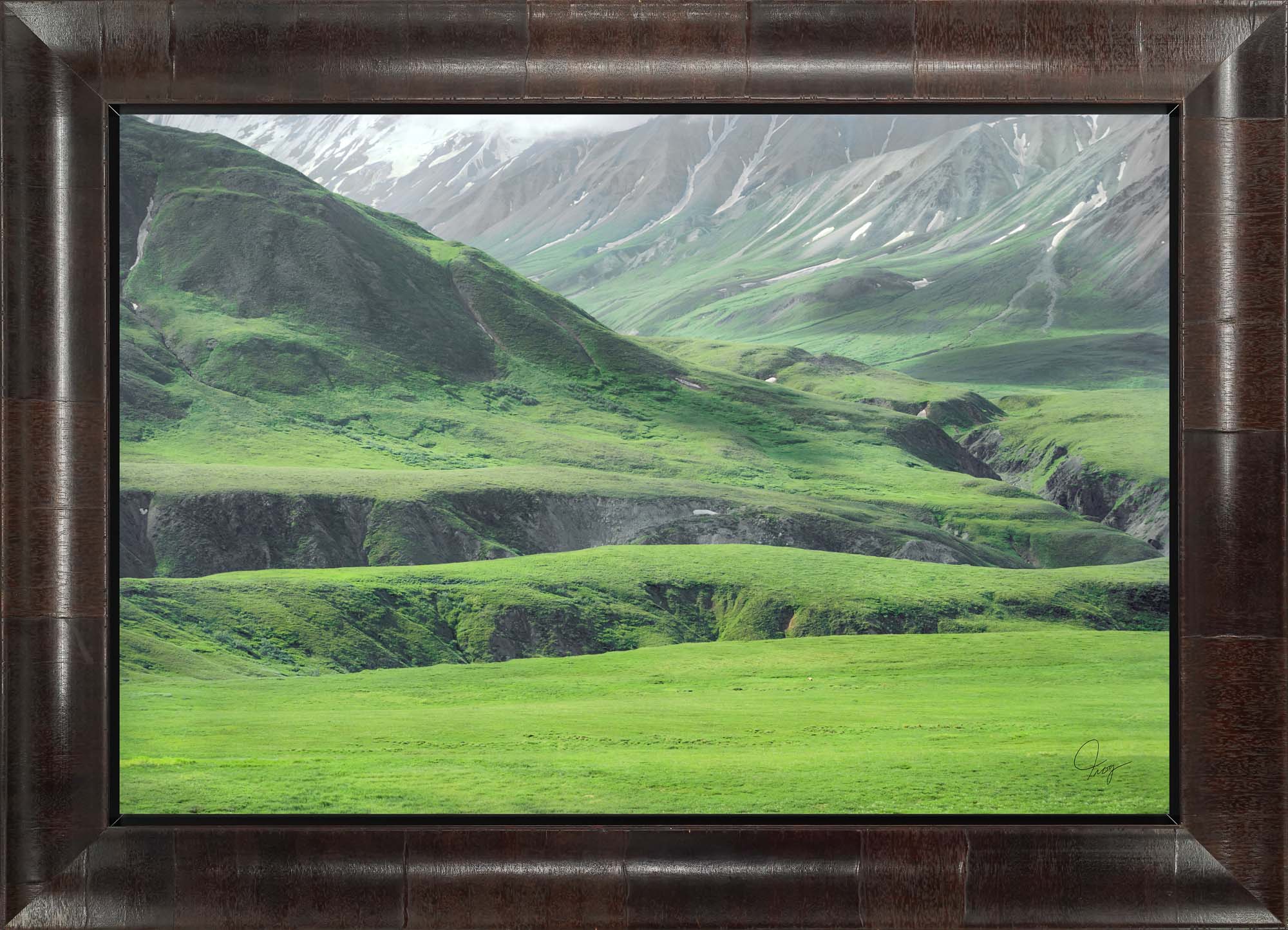 Denali's Beautiful Green Landscape with a grizzly bear