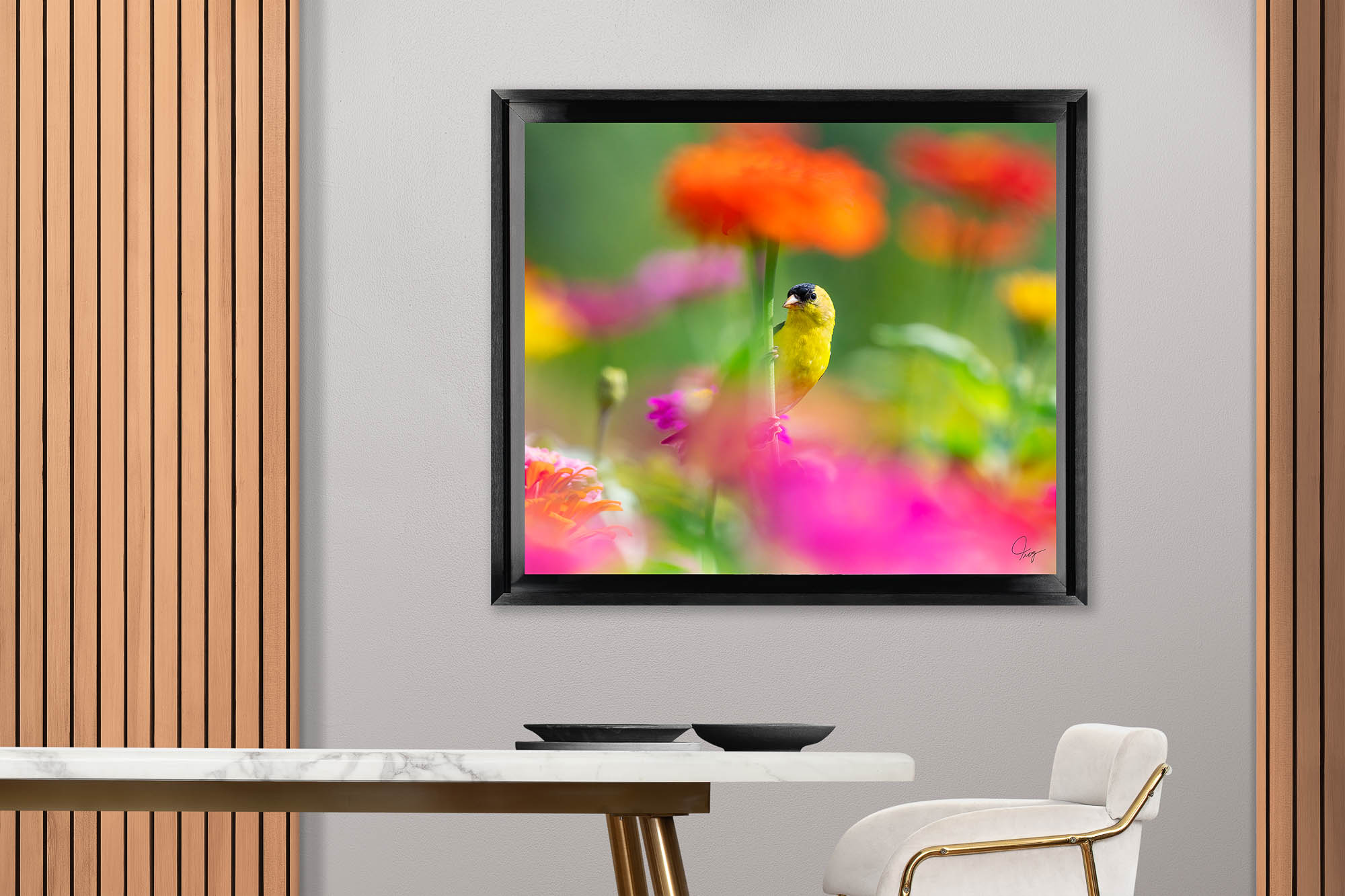 Male American Goldfinch saying hello through the flowers