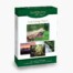 Scriptures in Pictures Comforting Verses I Greeting Cards
