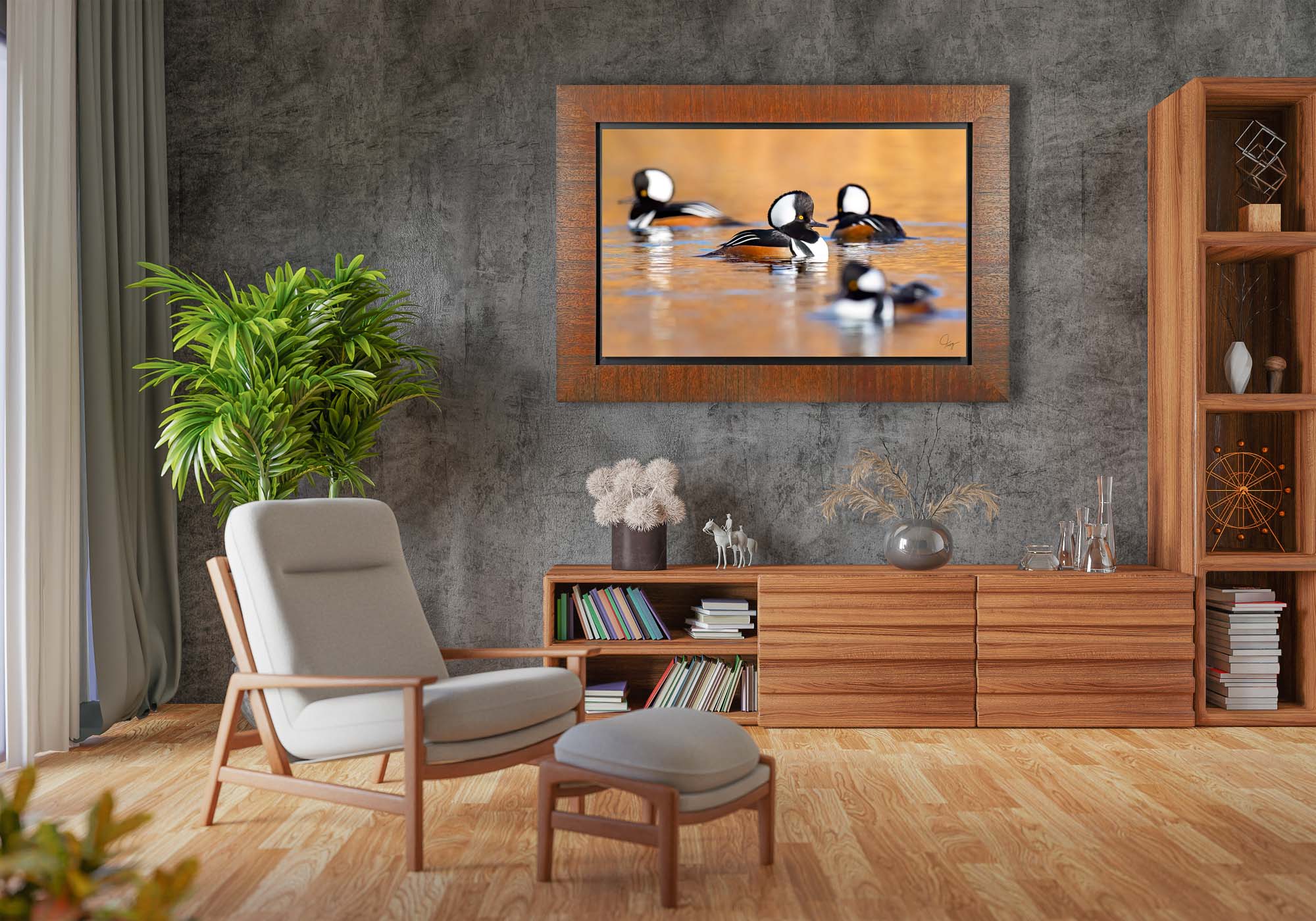 Male Hooded Mergansers chillin' on an autumn afternoon