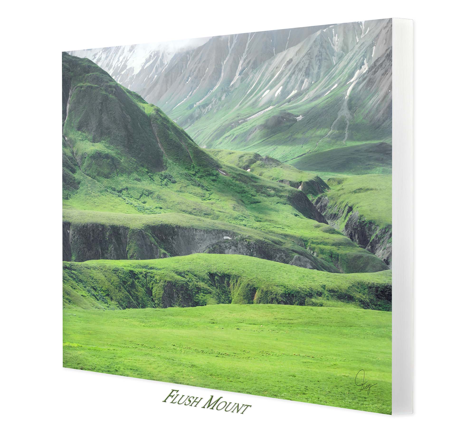 Denali's Beautiful Green Landscape with a grizzly bear