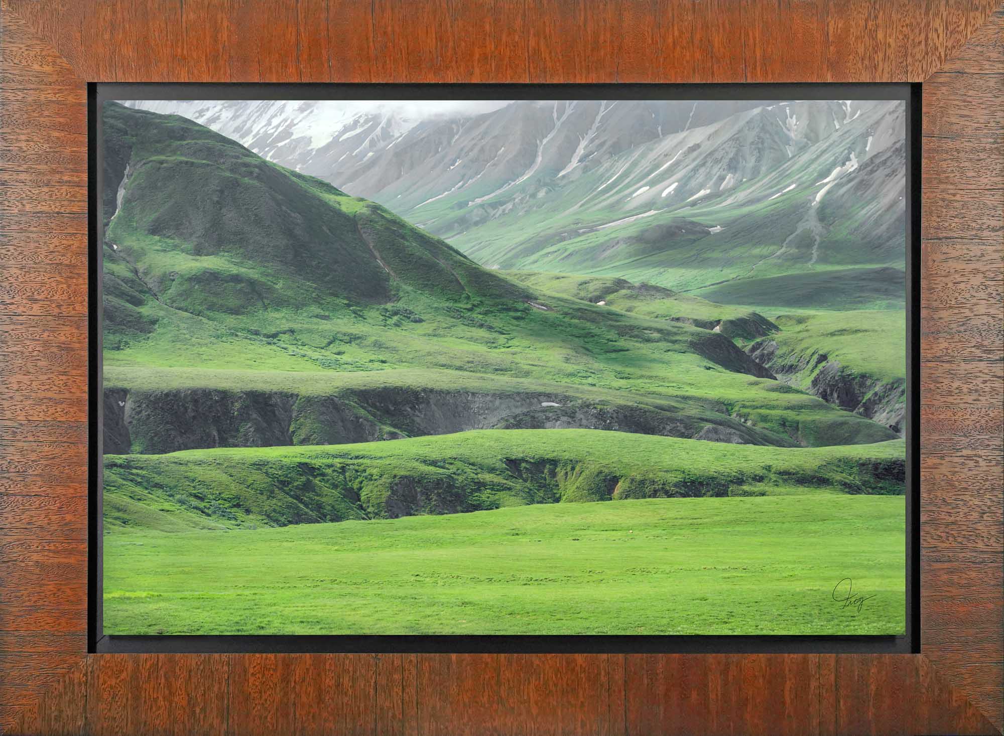 Denali's Beautiful Green Landscape with a grizzly bear
