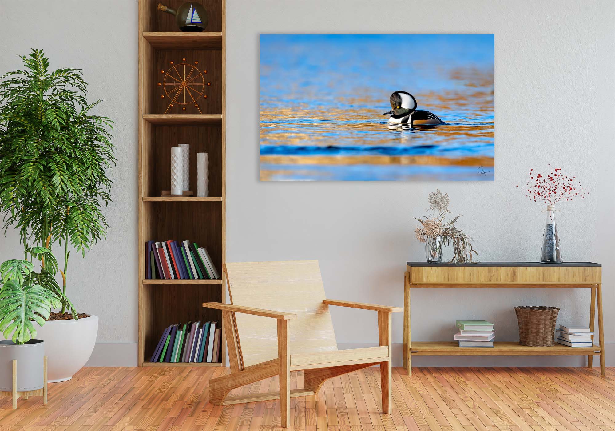 Male Hooded Mergansers chillin' on an autumn afternoon