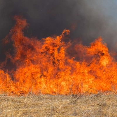 Controlled burn on Illinois prairie