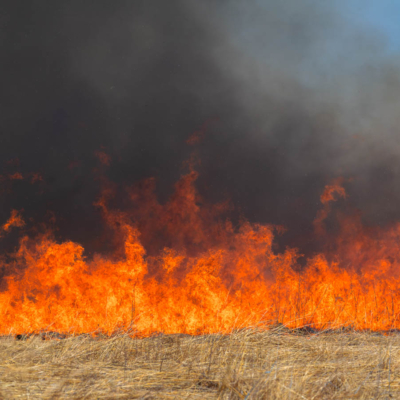 Controlled burn on Illinois prairie