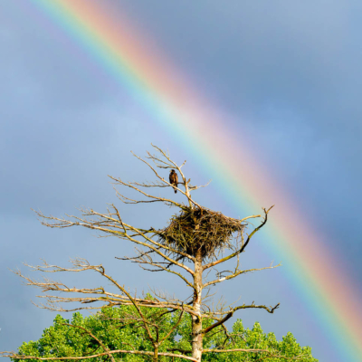 Eagle's Nest and Rainbow