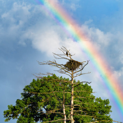 Eagle's Nest and Rainbow