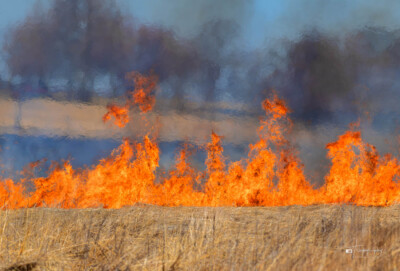Controlled burn for an Illinois Prairie Controlled burn for an Illinois Prairie